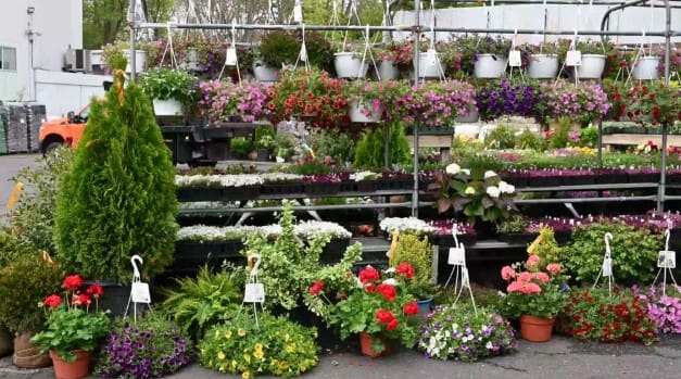 Northeast Weed and Duryea New Canaan Gardening store in New Canaan